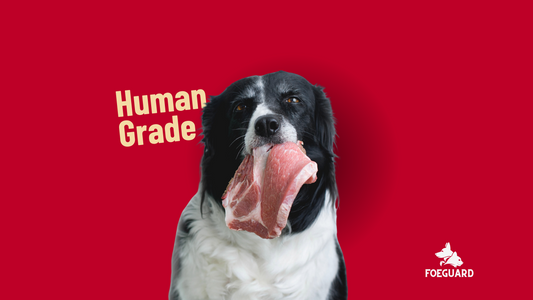 Human Grade vs. Pet Grade?