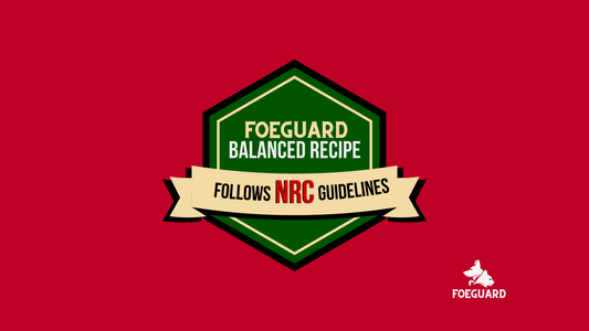 Balanced by FoeGuard - Here's what we mean!