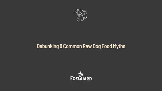 Debunking 8 Common Raw Dog Food Myths