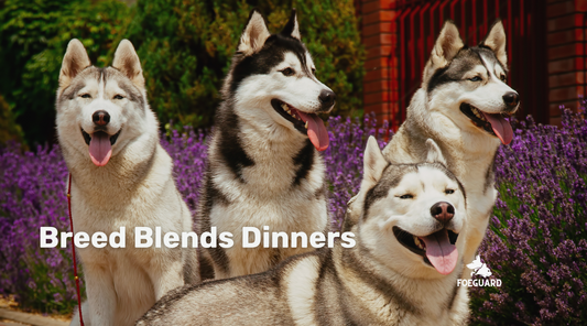 Breed Blend Dinners Comparison