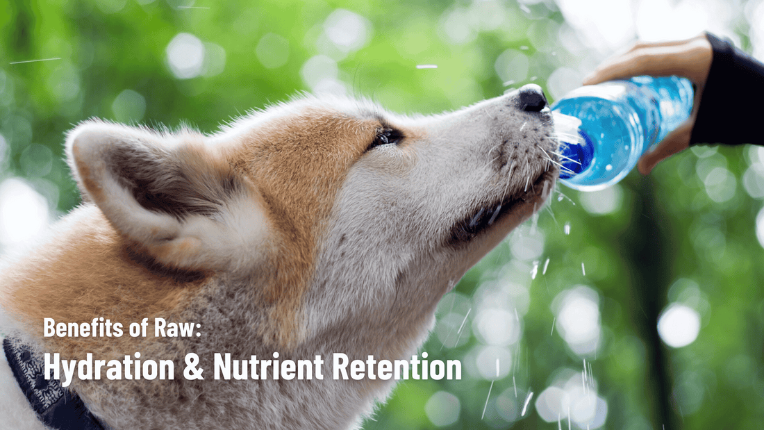 Benefits of Raw: Hydration & Nutrient Retention