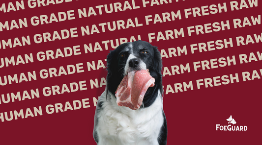 Human Grade vs. Animal Grade?