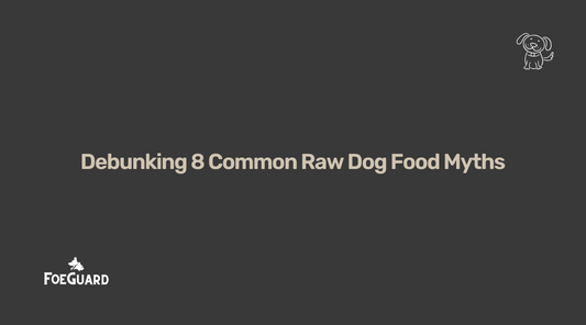 Debunking 8 Common Raw Pet Food Myths